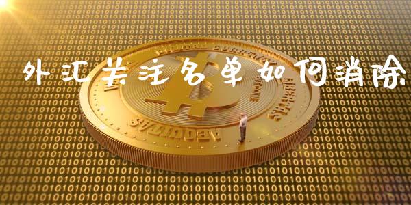 外汇关注名单如何消除_https://m.apzhendong.com_期货行情_第1张