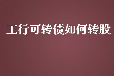 工行可转债如何转股_https://m.apzhendong.com_财经资讯_第1张