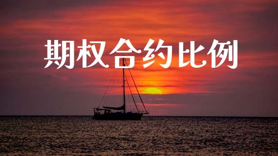 期权合约比例_https://m.apzhendong.com_财务分析_第1张