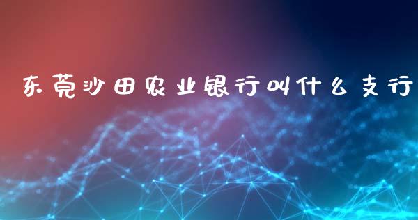 东莞沙田农业银行叫什么支行_https://m.apzhendong.com_财经资讯_第1张