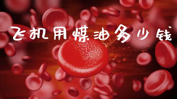 飞机用煤油多少钱_https://m.apzhendong.com_财经资讯_第1张