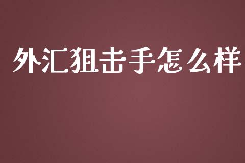 外汇狙击手怎么样_https://m.apzhendong.com_财务分析_第1张