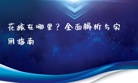 花核在哪里？全面解析与实用指南_https://m.apzhendong.com_财务分析_第1张