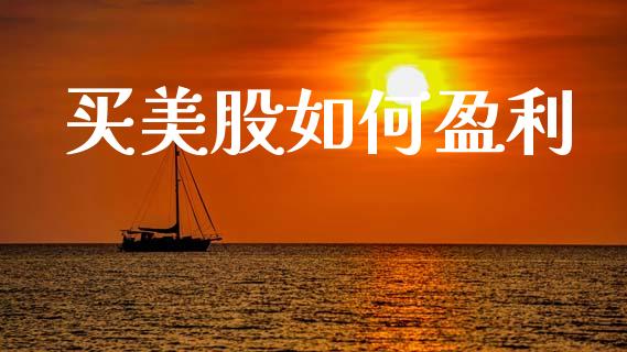 买美股如何盈利_https://m.apzhendong.com_全球经济_第1张