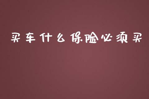 买车什么保险必须买_https://m.apzhendong.com_全球经济_第1张