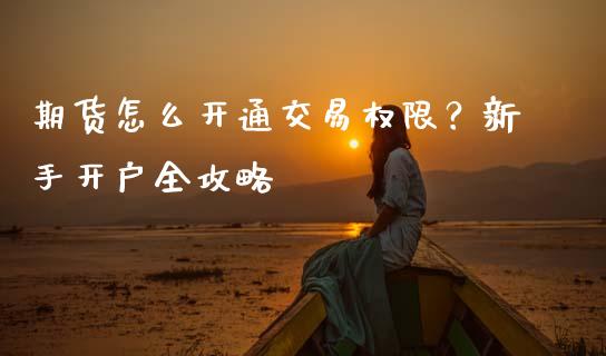 期货怎么开通交易权限？新手开户全攻略_https://m.apzhendong.com_财经资讯_第1张