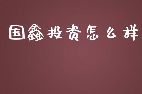 国鑫投资怎么样_https://m.apzhendong.com_财务分析_第1张