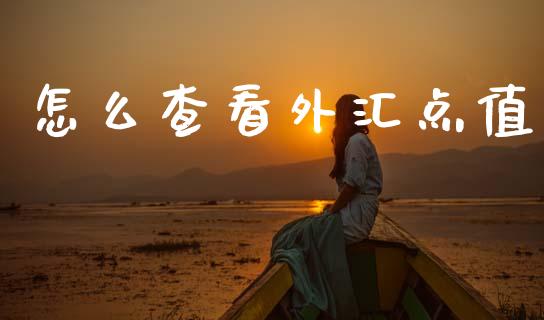 怎么查看外汇点值_https://m.apzhendong.com_期货行情_第1张