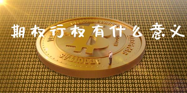 期权行权有什么意义_https://m.apzhendong.com_财务分析_第1张