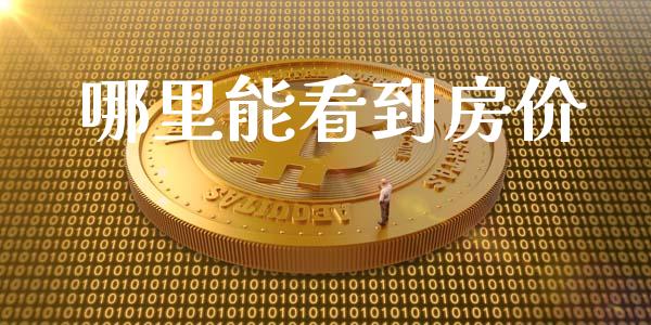 哪里能看到房价_https://m.apzhendong.com_期货行情_第1张