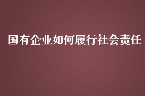 国有企业如何履行社会责任_https://m.apzhendong.com_期货行情_第1张