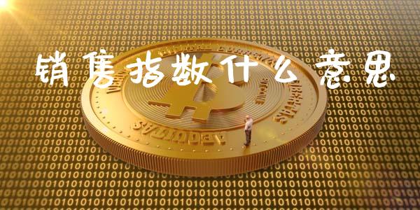 销售指数什么意思_https://m.apzhendong.com_财经资讯_第1张