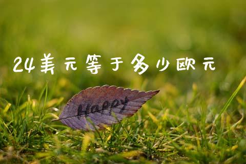 24美元等于多少欧元_https://m.apzhendong.com_财务分析_第1张