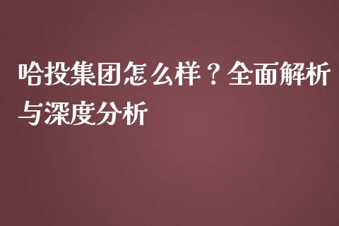 哈投集团怎么样？全面解析与深度分析_https://m.apzhendong.com_全球经济_第1张