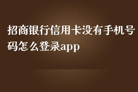 招商银行信用卡没有手机号码怎么登录app_https://m.apzhendong.com_财务分析_第1张