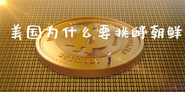 美国为什么要挑衅朝鲜_https://m.apzhendong.com_全球经济_第1张