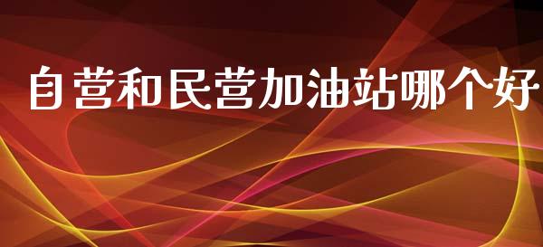 自营和民营加油站哪个好_https://m.apzhendong.com_期货行情_第1张