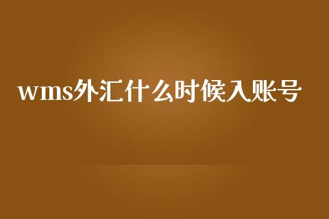 wms外汇什么时候入账号_https://m.apzhendong.com_全球经济_第1张