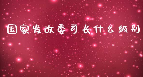 国家发改委司长什么级别_https://m.apzhendong.com_财经资讯_第1张