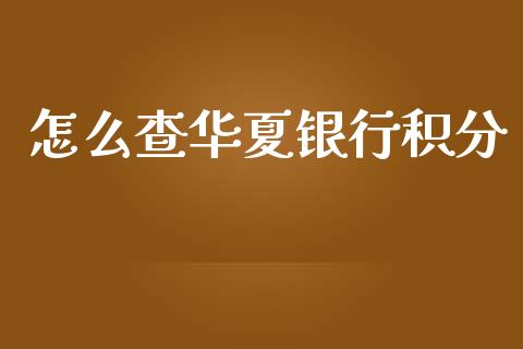 怎么查华夏银行积分_https://m.apzhendong.com_财务分析_第1张