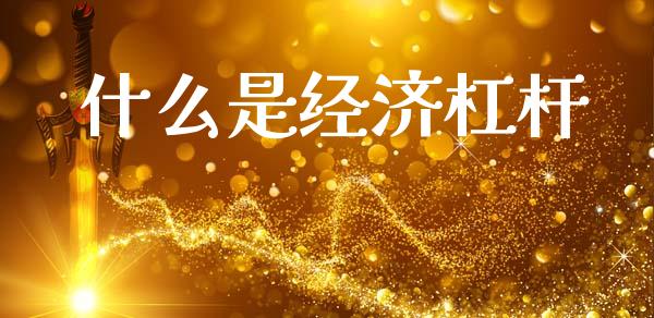 什么是经济杠杆_https://m.apzhendong.com_财务分析_第1张