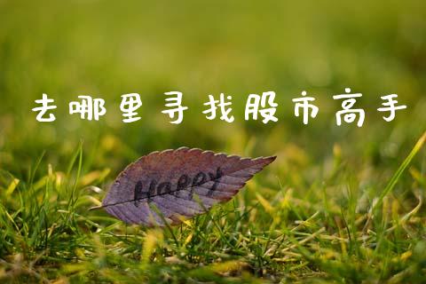 去哪里寻找股市高手_https://m.apzhendong.com_财务分析_第1张