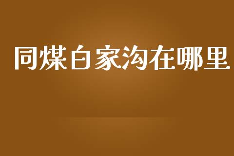 同煤白家沟在哪里_https://m.apzhendong.com_财经资讯_第1张