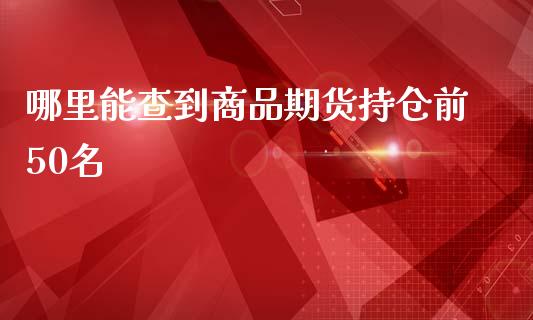 哪里能查到商品期货持仓前50名_https://m.apzhendong.com_财务分析_第1张