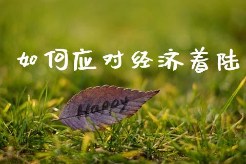 如何应对经济着陆_https://m.apzhendong.com_财务分析_第1张