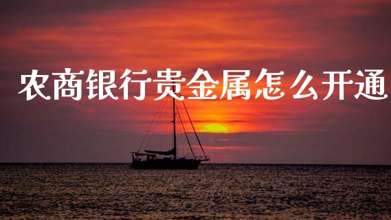农商银行贵金属怎么开通_https://m.apzhendong.com_财经资讯_第1张
