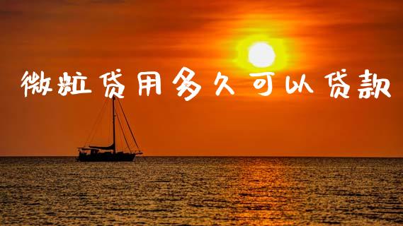 微粒贷用多久可以贷款_https://m.apzhendong.com_财务分析_第1张