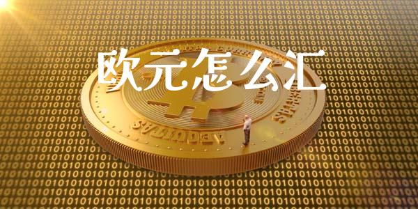 欧元怎么汇_https://m.apzhendong.com_期货行情_第1张