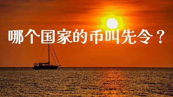 哪个国家的币叫先令？_https://m.apzhendong.com_财务分析_第1张