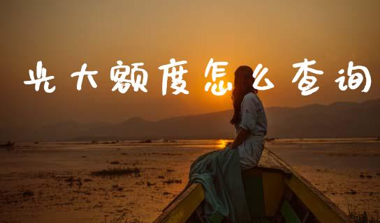 光大额度怎么查询_https://m.apzhendong.com_全球经济_第1张