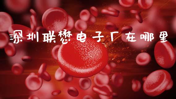 深圳联懋电子厂在哪里_https://m.apzhendong.com_全球经济_第1张
