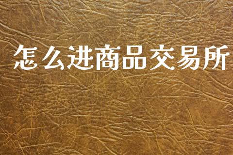 怎么进商品交易所_https://m.apzhendong.com_期货行情_第1张