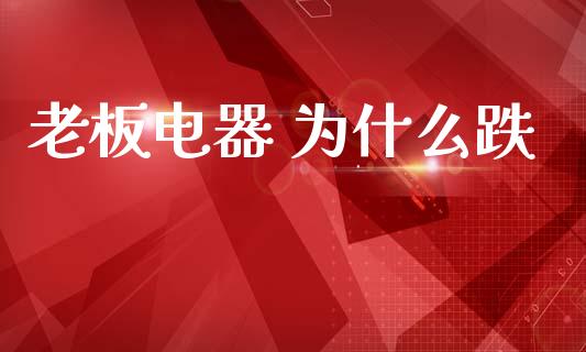 老板电器 为什么跌_https://m.apzhendong.com_财务分析_第1张