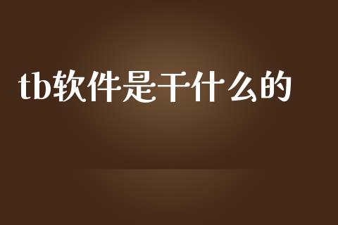 tb软件是干什么的_https://m.apzhendong.com_财务分析_第1张