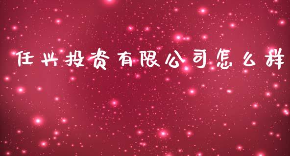 任兴投资有限公司怎么样_https://m.apzhendong.com_期货行情_第1张