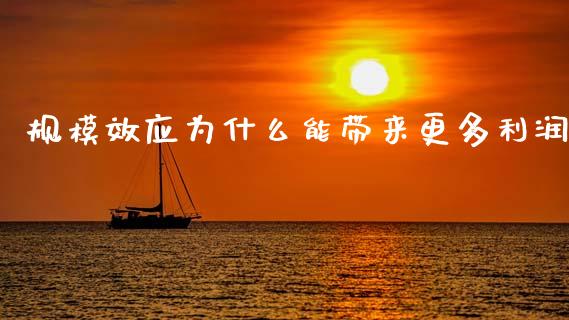 规模效应为什么能带来更多利润_https://m.apzhendong.com_全球经济_第1张