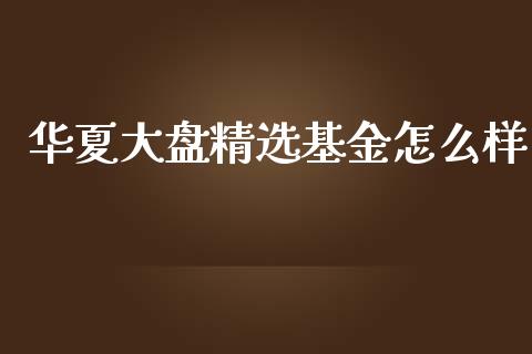 华夏大盘精选基金怎么样_https://m.apzhendong.com_财经资讯_第1张