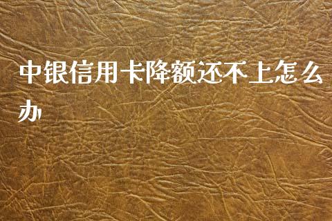 中银信用卡降额还不上怎么办_https://m.apzhendong.com_期货行情_第1张