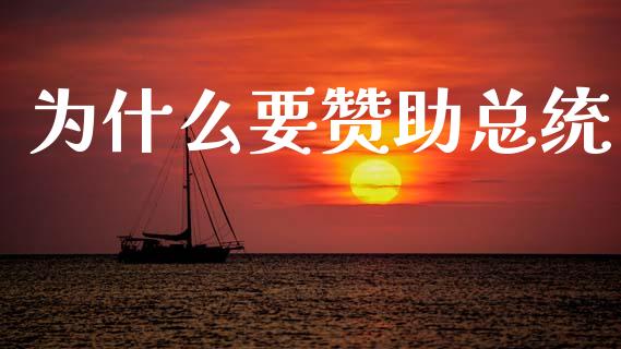 为什么要赞助总统_https://m.apzhendong.com_全球经济_第1张