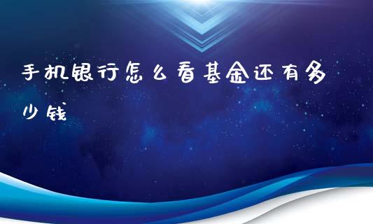 手机银行怎么看基金还有多少钱_https://m.apzhendong.com_财务分析_第1张