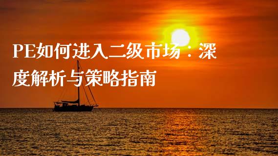 PE如何进入二级市场：深度解析与策略指南_https://m.apzhendong.com_全球经济_第1张