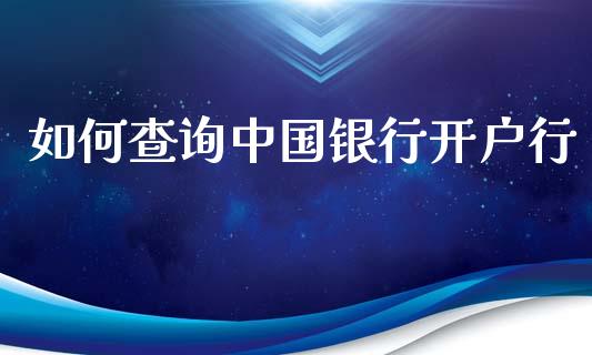 如何查询中国银行开户行_https://m.apzhendong.com_财务分析_第1张