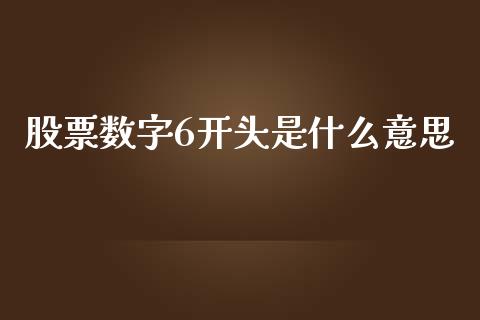 股票数字6开头是什么意思_https://m.apzhendong.com_期货行情_第1张