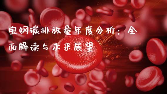 宝钢碳排放量年度分析：全面解读与未来展望_https://m.apzhendong.com_财经资讯_第1张