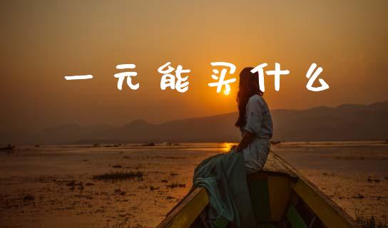 一元能买什么_https://m.apzhendong.com_财务分析_第1张