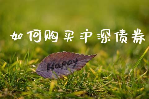 如何购买沪深债券_https://m.apzhendong.com_期货行情_第1张